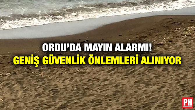 Ordu’da Mayın Alarmı! Geniş Güvenlik Önlemleri Alınıyor