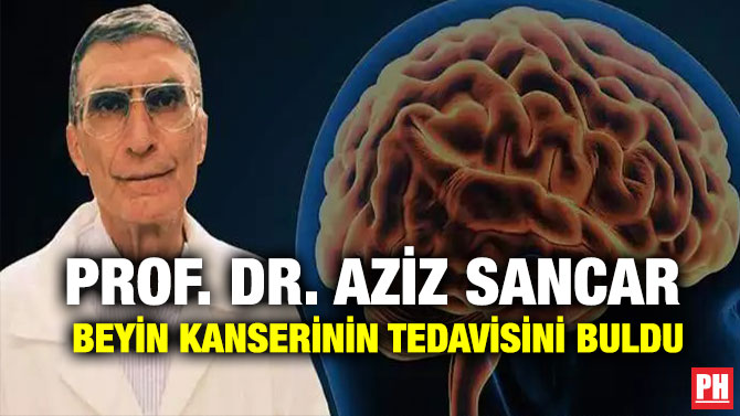 Prof. Dr. Aziz Sancar Beyin Kanserinin Tedavisini Buldu