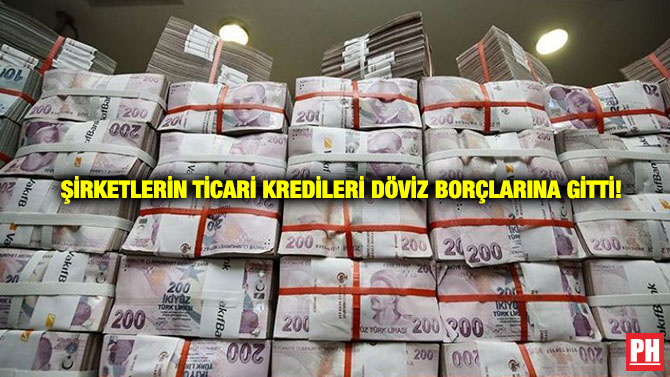 Şirketlerin Ticari Kredileri Döviz Borçlarına Gitti!