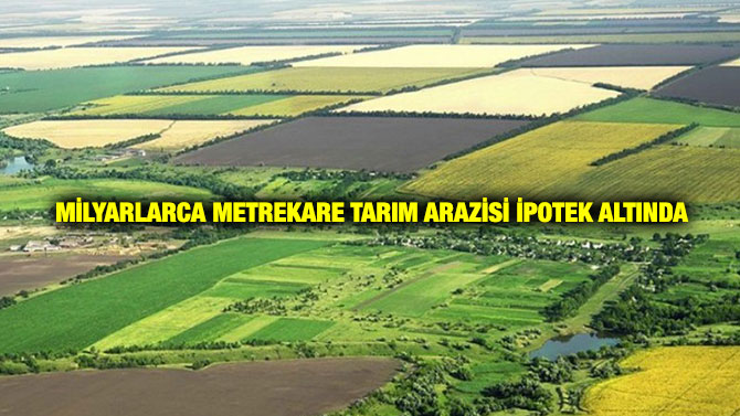 Milyarlarca Metrekare Tarım Arazisi İpotek Altında