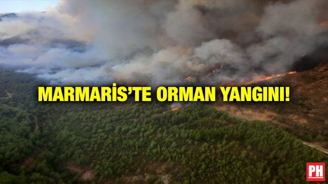 Marmaris’te Orman Yangını!