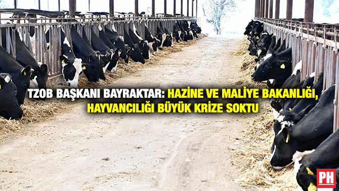 TZOB Başkanı Bayraktar: Hazine ve Maliye Bakanlığı, hayvancılığı büyük krize soktu