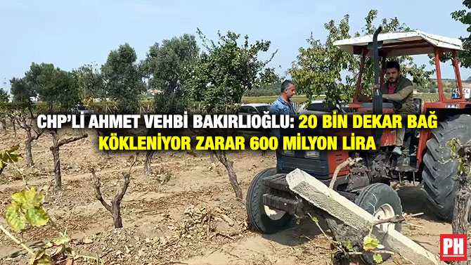 CHP’li Ahmet Vehbi Bakırlıoğlu: 20 Bin Dekar Bağ Kökleniyor Zarar 600 Milyon Lira