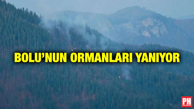Bolu’nun Ormanları Yanıyor
