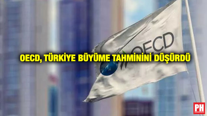 OECD, Türkiye Büyüme Tahminini Düşürdü