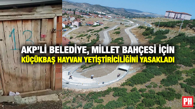 AKP’li Belediye, Millet Bahçesi İçin Küçükbaş Hayvan Yetiştiriciliğini Yasakladı