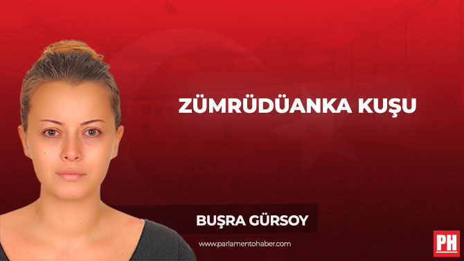 Zümrüdüanka Kuşu