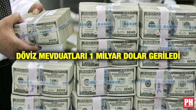 Döviz Mevduatları 1 Milyar Dolar Geriledi