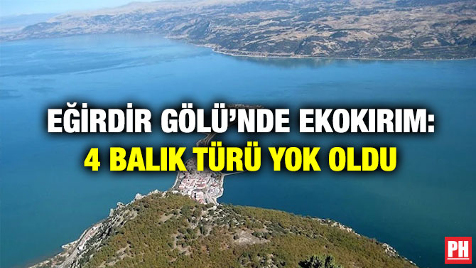 Eğirdir Gölü’nde Ekokırım: 4 Balık Türü Yok Oldu