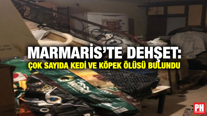 Marmaris’te Dehşet: Çok Sayıda Kedi ve Köpek Ölüsü Bulundu
