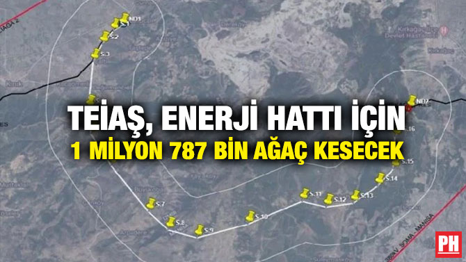 TEİAŞ, Enerji Hattı için 1 Milyon 787 Bin Ağaç Kesecek