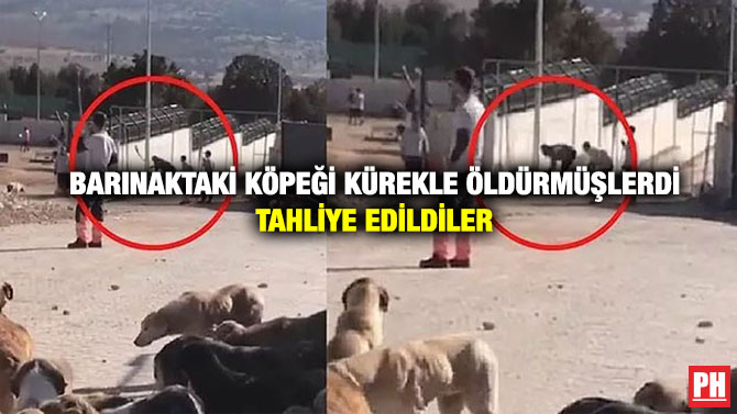 Barınaktaki Köpeği Kürekle Öldürmüşlerdi Tahliye Edildiler