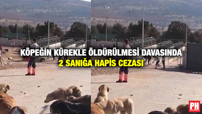 Köpeğin Kürekle Öldürülmesi Davasında 2 Sanığa Hapis Cezası
