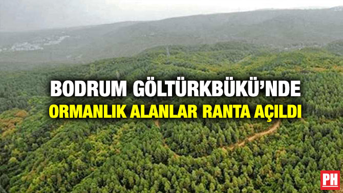 Bodrum Göltürkbükü’nde Ormanlık Alanlar Ranta Açıldı