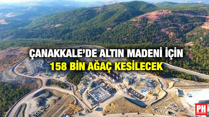 Çanakkale’de Altın Madeni İçin 158 Bin Ağaç Kesilecek