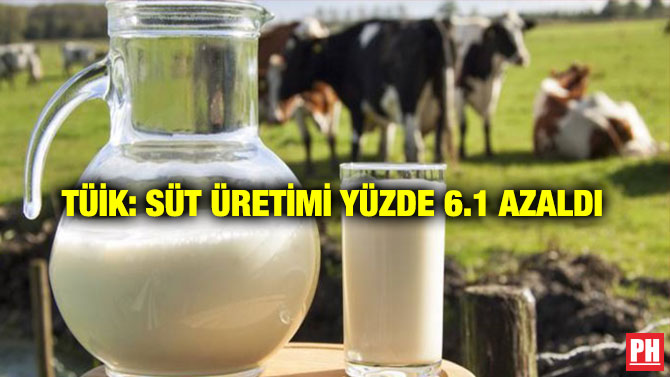 TÜİK: Süt Üretimi Yüzde 6.1 Azaldı