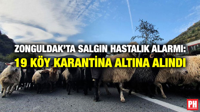 Zonguldak’ta Salgın Hastalık Alarmı: 19 Köy Karantina Altına Alındı