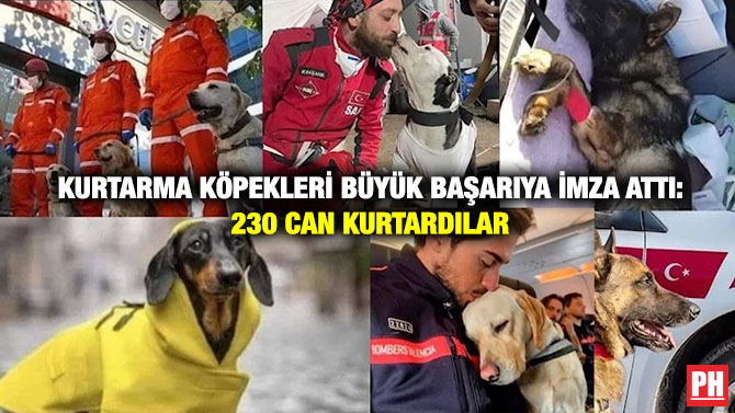 Kurtarma Köpekleri Büyük Başarıya İmza Attı: 230 Can Kurtardılar