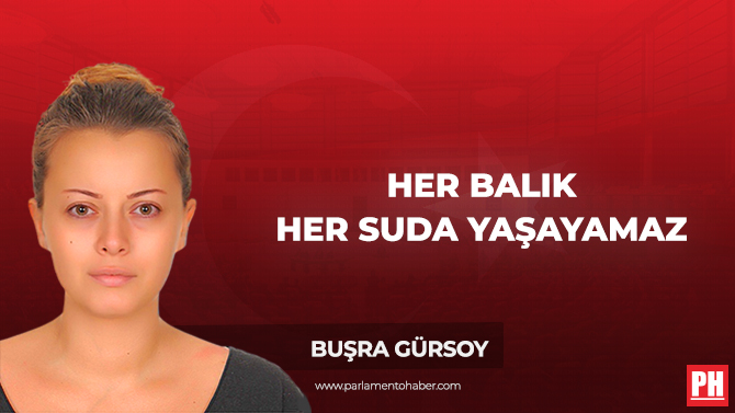 Her Balık Her Suda Yaşayamaz