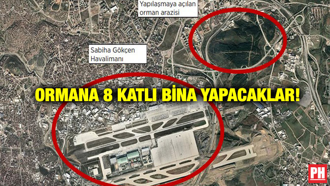 Ormana 8 Katlı Bina Yapacaklar!