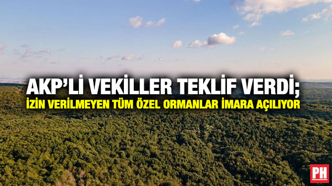 AKP’li Vekiller Teklif Verdi; İzin Verilmeyen Tüm Özel Ormanlar İmara Açılıyor