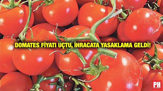 Domates Fiyatı Uçtu, İhracata Yasaklama Geldi!