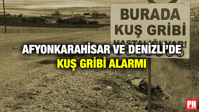 Afyonkarahisar ve Denizli’de Kuş Gribi Alarmı