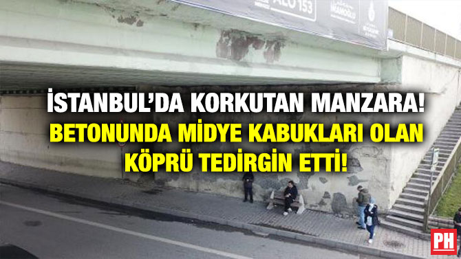 İstanbul’da Korkutan Manzara! Betonunda Midye Kabukları Olan Köprü Tedirgin Etti!