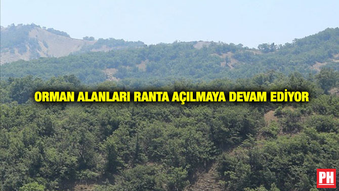 Orman Alanları Ranta Açılmaya Devam Ediyor