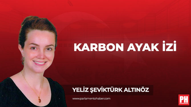 Karbon Ayak İzi