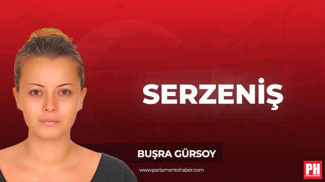 Serzeniş