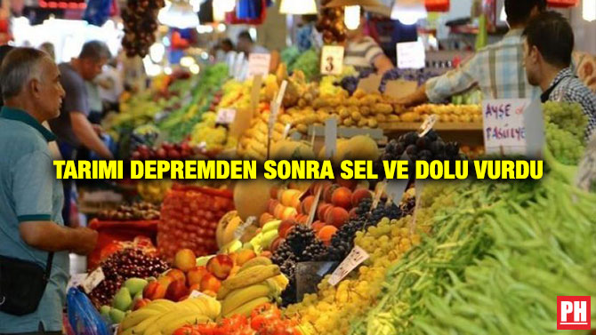Tarımı Depremden Sonra Sel ve Dolu Vurdu