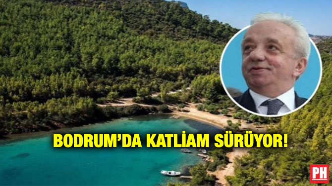 Bodrum’da Katliam Sürüyor!