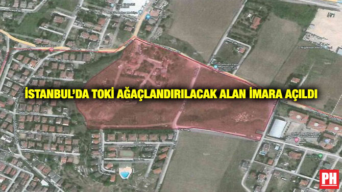 İstanbul’da TOKİ Ağaçlandırılacak Alan İmara Açıldı