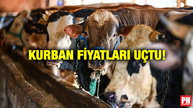 Kurban Fiyatları Uçtu!