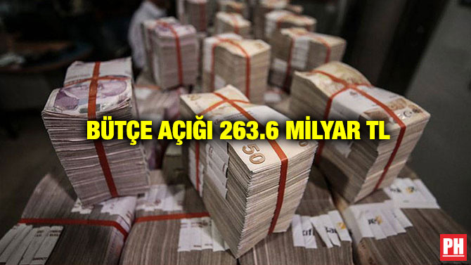 Bütçe Açığı 263.6 Milyar TL