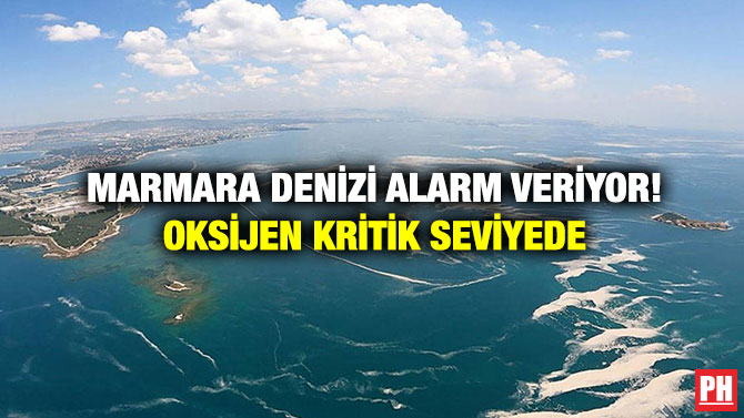 Marmara Denizi Alarm Veriyor! Oksijen Kritik Seviyede