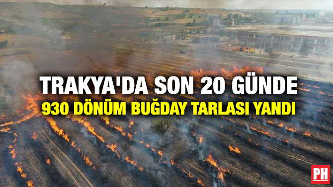 Trakya’da Son 20 Günde 930 Dönüm Buğday Tarlası Yandı