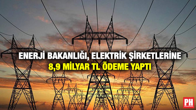 Enerji Bakanlığı, Elektrik Şirketlerine 8,9 milyar TL Ödeme Yaptı