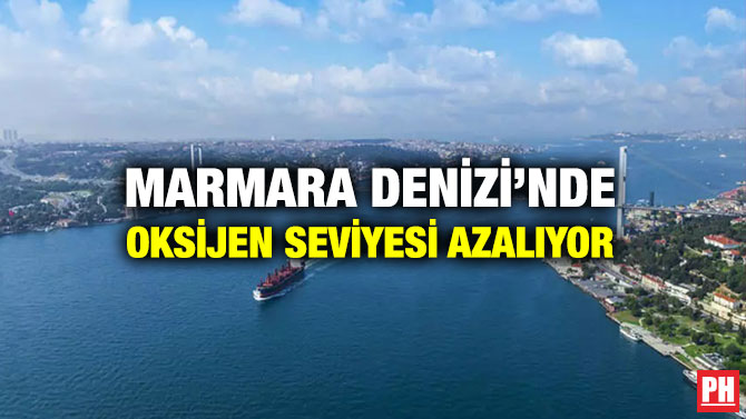 Marmara Denizi’nde Oksijen Seviyesi Azalıyor