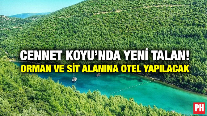 Cennet Koyu’nda Yeni Talan! Orman ve Sit Alanına Otel Yapılacak