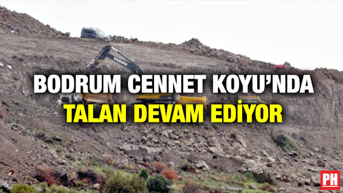 Bodrum Cennet Koyu’nda Talan Devam Ediyor