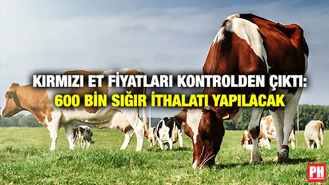 Kırmızı Et Fiyatları Kontrolden Çıktı: 600 Bin Sığır  İthalatı Yapılacak