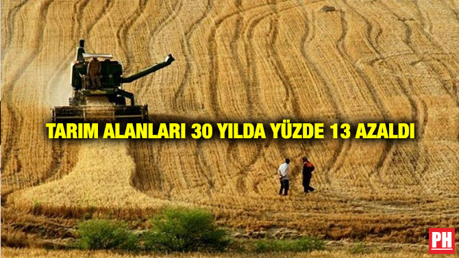 Tarım Alanları 30 Yılda Yüzde 13 Azaldı