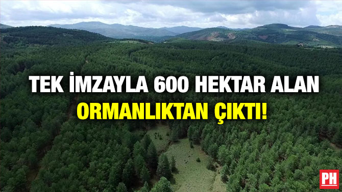 Tek İmzayla 600 Hektar Alan Ormanlıktan Çıktı! 