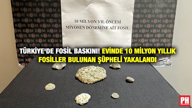 Türkiye’de Fosil Baskını! Evinde 10 Milyon Yıllık Fosiller Bulunan Şüpheli Yakalandı