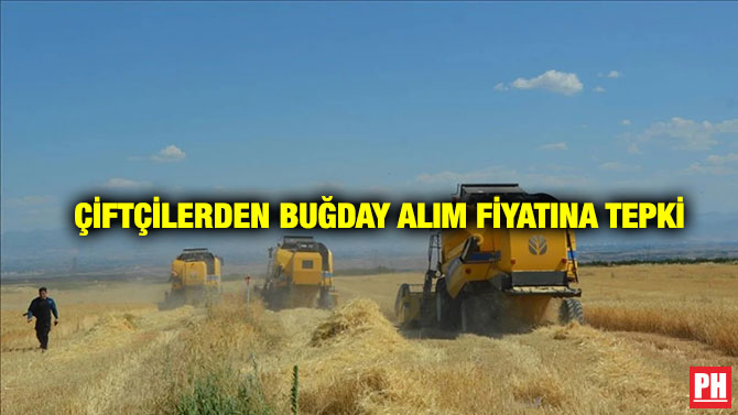 Çiftçilerden Buğday Alım Fiyatına Tepki
