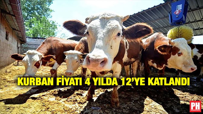 Kurban Fiyatı 4 Yılda 12’ye Katlandı