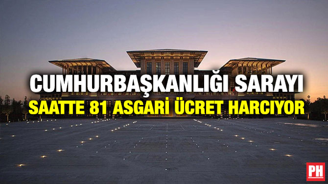 Cumhurbaşkanlığı Sarayı Saatte 81 Asgari Ücret Harcıyor