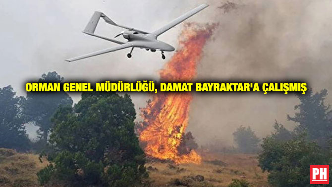 Orman Genel Müdürlüğü, Damat Bayraktar’a Çalışmış